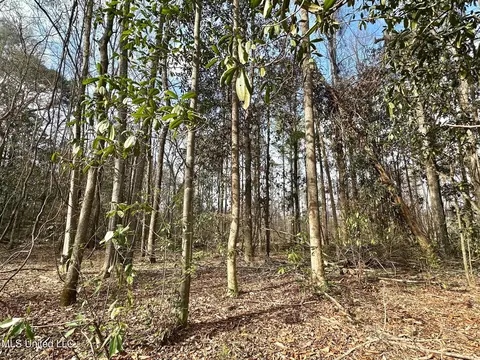 0 Highway 469, Florence, MS 39073 photo 34