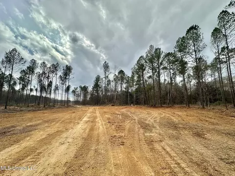 0 Highway 469, Florence, MS 39073 photo 3