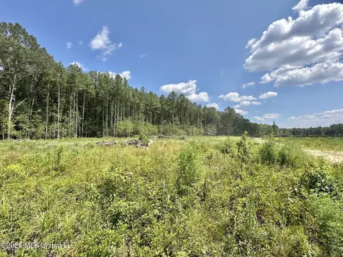 0 Highway 469, Florence, MS 39073 photo 8