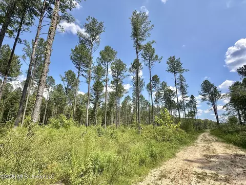 0 Highway 469, Florence, MS 39073 photo 3