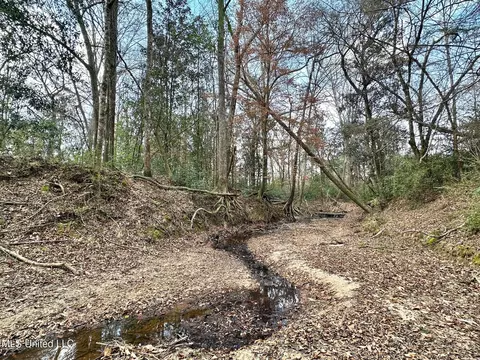 0 Highway 469, Florence, MS 39073 photo 35