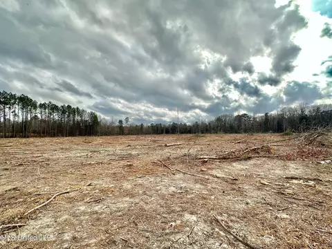 0 Highway 469, Florence, MS 39073 photo 16