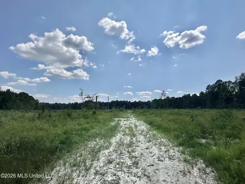 0 Highway 469, Florence, MS 39073 photo 10