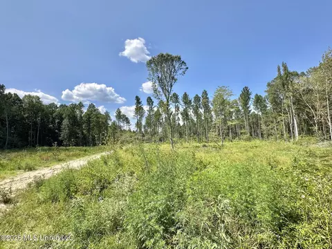 0 Highway 469, Florence, MS 39073 photo 9