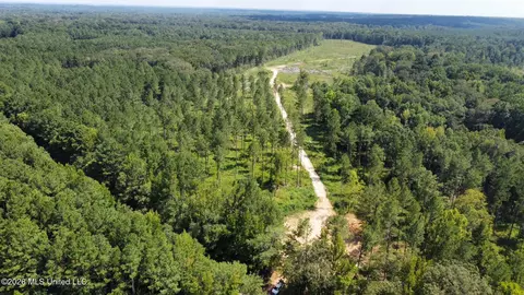 0 Highway 469, Florence, MS 39073 photo 14