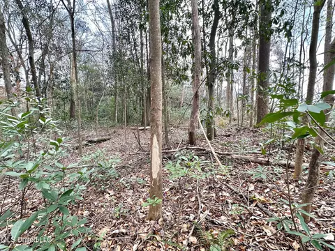 0 Highway 469, Florence, MS 39073 photo 14