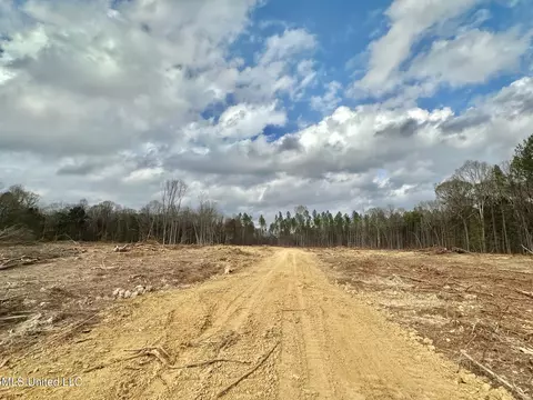 0 Highway 469, Florence, MS 39073 photo 19
