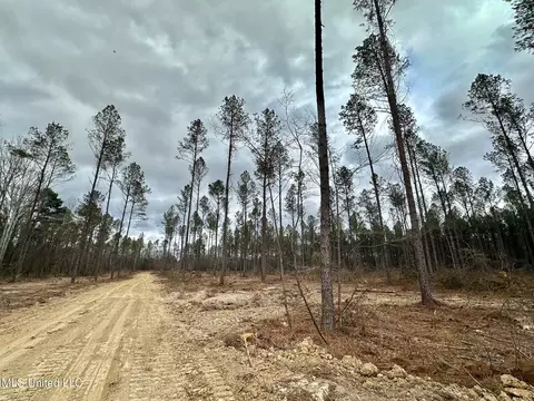 0 Highway 469, Florence, MS 39073 photo 8