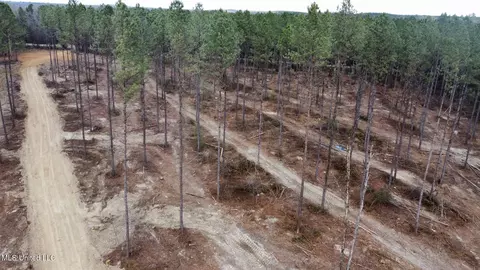 0 Highway 469, Florence, MS 39073 photo 32