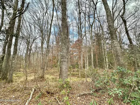 0 Highway 469, Florence, MS 39073 photo 9