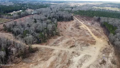 0 Highway 469, Florence, MS 39073 photo 30