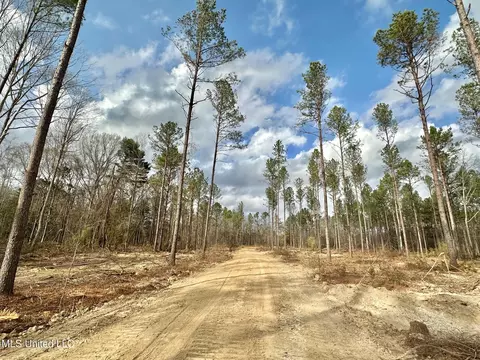 0 Highway 469, Florence, MS 39073 photo 20
