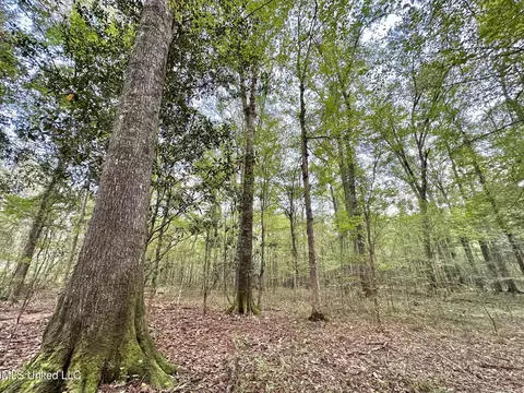 1 Highway 469, Florence, MS 39073 photo 11