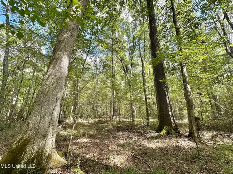 1 Highway 469, Florence, MS 39073 photo 8