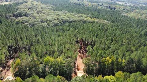 1 Highway 469, Florence, MS 39073 photo 16