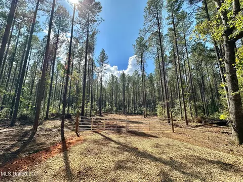 1 Highway 469, Florence, MS 39073 photo 3