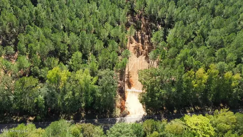1 Highway 469, Florence, MS 39073 photo 17