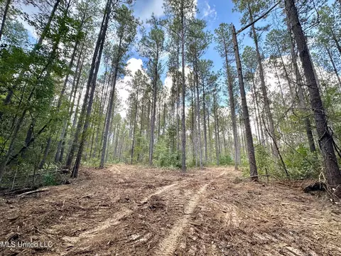 1 Highway 469, Florence, MS 39073 photo 10