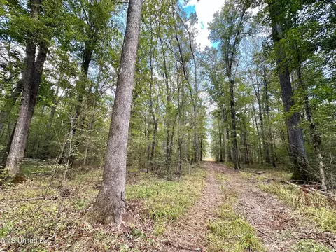 1 Highway 469, Florence, MS 39073 photo 6