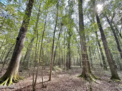 1 Highway 469, Florence, MS 39073