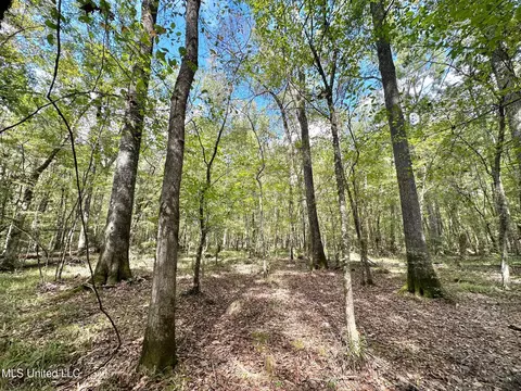 1 Highway 469, Florence, MS 39073 photo 7