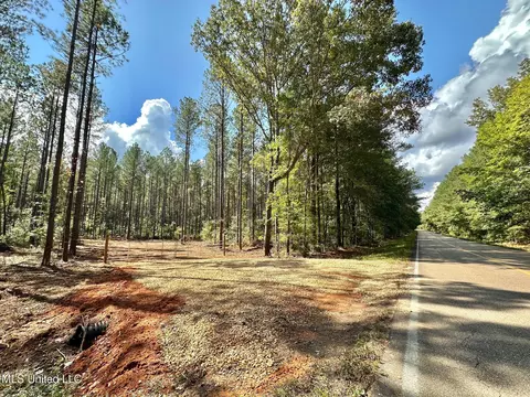 1 Highway 469, Florence, MS 39073 photo 2