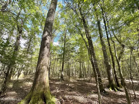 1 Highway 469, Florence, MS 39073 photo 14
