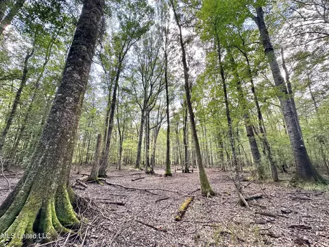 1 Highway 469, Florence, MS 39073 photo 13