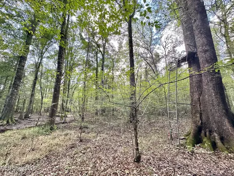 1 Highway 469, Florence, MS 39073 photo 12