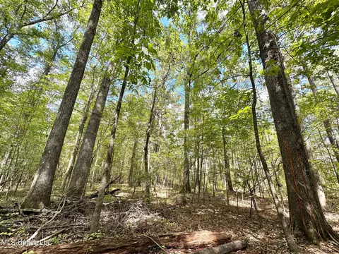 1 Highway 469, Florence, MS 39073 photo 9