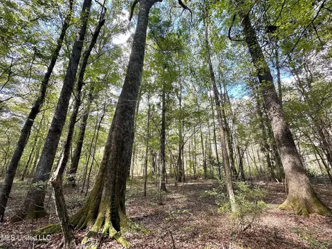 1 Highway 469, Florence, MS 39073 photo 15