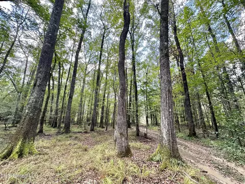 1 Highway 469, Florence, MS 39073 photo 4