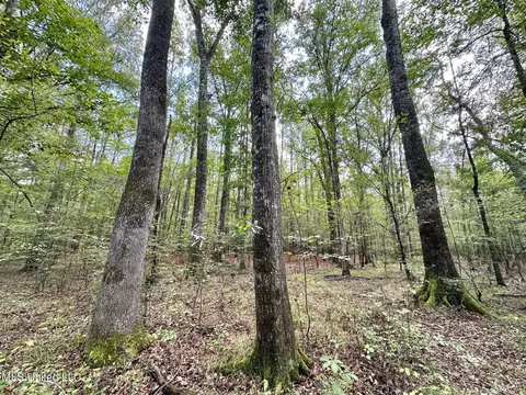 1 Highway 469, Florence, MS 39073 photo 5