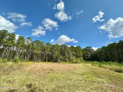 2 Highway 469, Florence, MS 39073 photo 6
