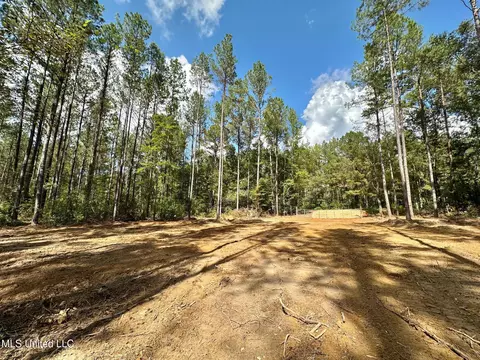 2 Highway 469, Florence, MS 39073 photo 12
