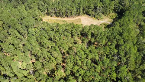 2 Highway 469, Florence, MS 39073 photo 15