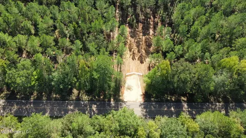 2 Highway 469, Florence, MS 39073 photo 19
