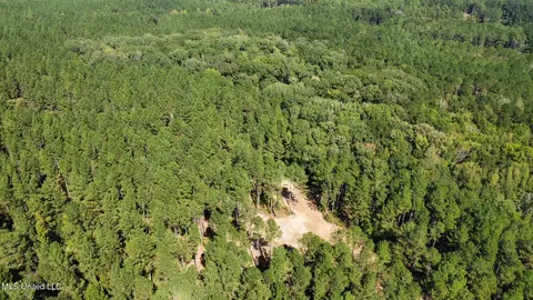 2 Highway 469, Florence, MS 39073 photo 14