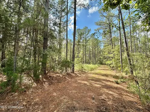 2 Highway 469, Florence, MS 39073 photo 8