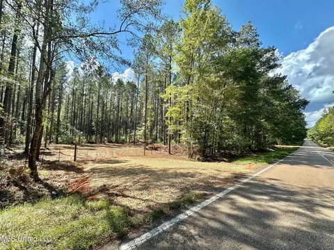 2 Highway 469, Florence, MS 39073 photo 3