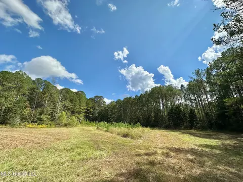 2 Highway 469, Florence, MS 39073 photo 7