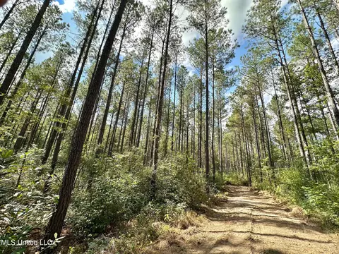 2 Highway 469, Florence, MS 39073 photo 11