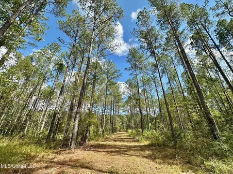 2 Highway 469, Florence, MS 39073 photo 5