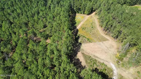 2 Highway 469, Florence, MS 39073 photo 16