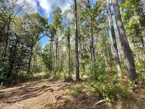 2 Highway 469, Florence, MS 39073 photo 10