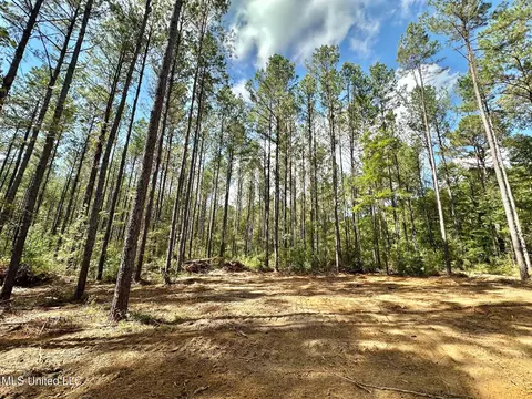 2 Highway 469, Florence, MS 39073 photo 13