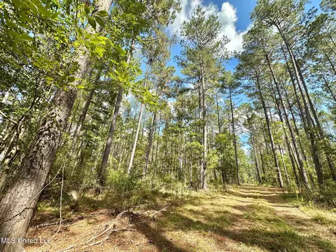 2 Highway 469, Florence, MS 39073 photo 4