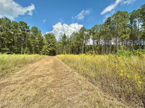 2 Highway 469, Florence, MS 39073 photo 9