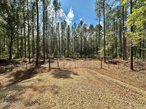 2 Highway 469, Florence, MS 39073 photo 2
