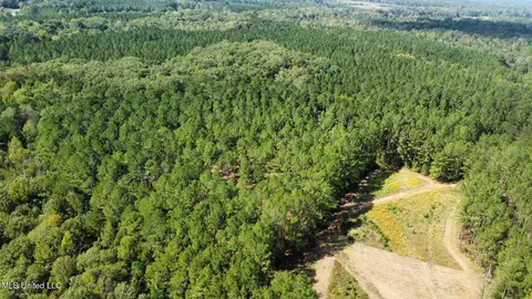 2 Highway 469, Florence, MS 39073
